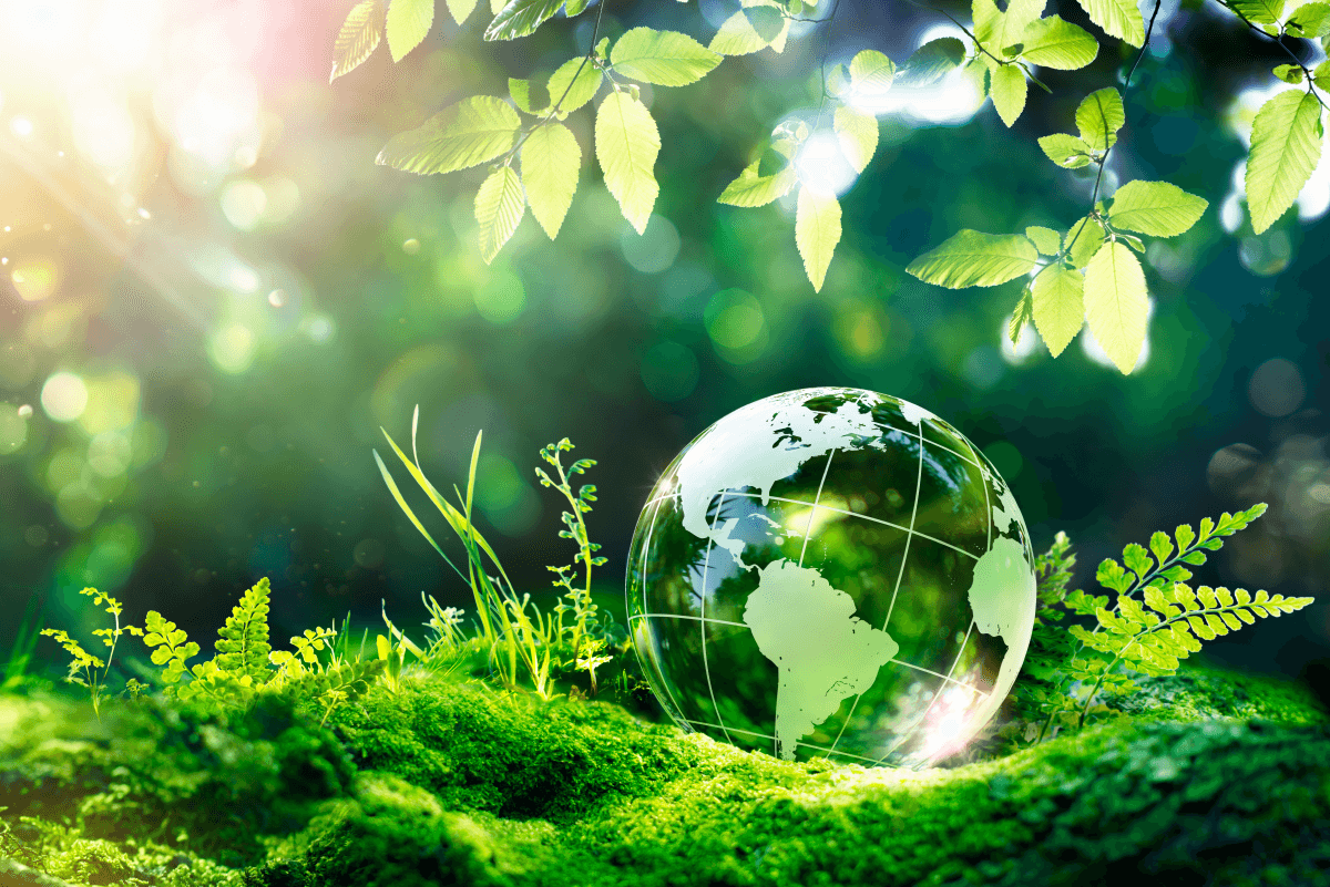 How to Change the Engine Oil in Your Car Car Oil Change Guide